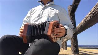 Enya caribbean blue on 40 button Anglo concertina コンサーティーナ cover [upl. by Willmert835]