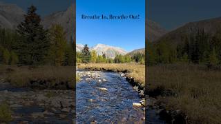 Crystal Clear Stream Near Pocaterra Ridge Canadian Rockies  K County [upl. by Lanta]