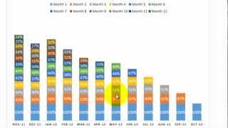 Excel Cohort Analysis [upl. by Eleumas]