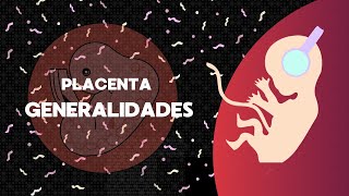 Desarrollo de placenta  Embriología humana [upl. by Hillel713]