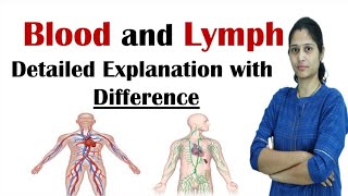 Differece between Blood and Lymph  In Hindi  Blood and Lymph [upl. by Larochelle718]