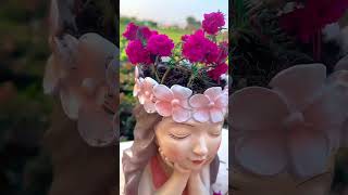 Wow beautiful portulaca flower plant in pot shortvideo plants houseplants nature farming [upl. by Feer]