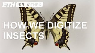 Digitizing the Entomological Collection  Scientific Heritage for Future Research [upl. by Ellenrahc]