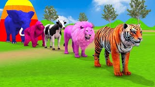 Long Slide Game With Elephant Gorilla Buffalo Hippopotamus Tiger  3d Animal Game  Funny 3d Animals [upl. by Iverson]