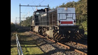 V160 1555 RTB Cargo Diesel Locomotive Train at Blerick the Netherlands 🇳🇱 November 52024 👍👍👍👍👍🚂😎🎥 [upl. by Asek161]