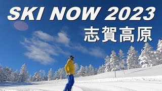 SKI NOW 2023志賀高原を愛する全てのスキーヤーに捧ぐGoPro94K [upl. by Franzen49]