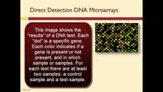 An Introduction to DNA Microarrays [upl. by Tarton]