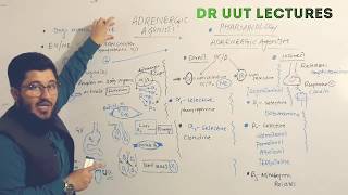 pharmacology adrenergic agonists pharmacology  sympathomimetics pharmacology in UrduHindi Dr uut [upl. by Ahtelahs789]