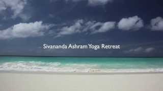 Take a Tour of the Yoga Retreat [upl. by Esinet]