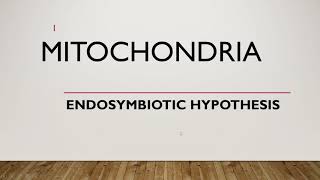 Mitochondria development  Endosymbiotic Hypothesis [upl. by Weylin429]