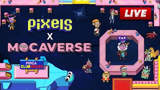 PIXEL 1000x Mocaverse integration Pixel Gameplay [upl. by Erbes]