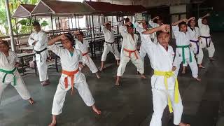 karate practice 1st kata Heyan shodan [upl. by Merline]