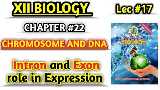 Role of Introns and Exon in Gene Regulation  lec 17 Chromosomes and DNA class 12 [upl. by Hamo]