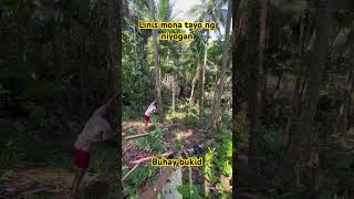 Niyoganbuhayprobinsya bukid shortsvideo audio [upl. by Artied]