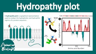 Hydropathy plot  How to interpret Hydropathy plot Transmembrane protein  Cell biology [upl. by Keelin]