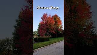 Beautiful weather in Us shorts trending usvlogstelugu telugu viralvideo thananamthanya art [upl. by Adlar]