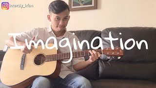 Imagination  Shawn Mendes Fingerstyle Guitar Cover [upl. by Kessel]