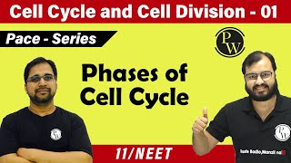 Cell Cycle and Cell Division  01  Phases of Cell Cycle  Class 11  CBSE  NEET  Pace Series [upl. by Toddy841]