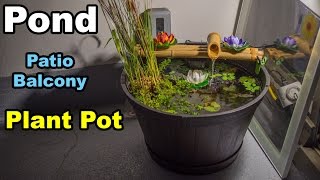 Pond in planter pot balcony patio condo apartment [upl. by Sremlahc]