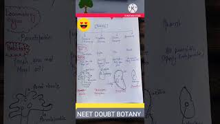 Protozoans  Biological Classification [upl. by Edlitam767]