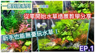 ASCUBE 水族水草缸設置EP1 只要選對新手水草！漂亮水草缸隨手得！Right choices of plant brings you nice aquarium [upl. by Johnsson129]