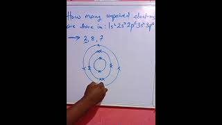 Electron Configuration of Elements chemistry chemistryclass12 [upl. by Honeywell]