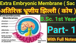 Extra Embryonic Membrane in chick ।। Extra Embryonic Membrane in hindi [upl. by Grath]