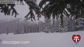 Ski Cooper Ridgeview Cam  LIVE webcam [upl. by Tennaj211]