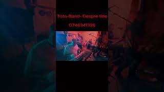 TotoBand  Despre tine party cover [upl. by Rodrich]