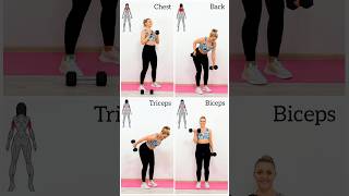 ✅4 Simple Exercises  Upper Body Dumbbell Workout💪 nogym homeworkout upperbody [upl. by Idhem]