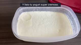 yogurt super cremoso lleno de probióticos [upl. by Gracye]