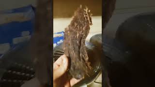 easy beef jerky dehydrator [upl. by Htebazila]