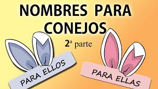 Nombres para conejitos segunda parte [upl. by Nadeau935]