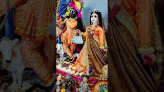 Giridhari Lal Nache Shyamu Gopal Radha Rani Nache Diye tale Taal radheshyam shortvideo 🙏🙏🙏 [upl. by Berger846]