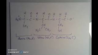 Peptide Bonds and Naming Amino Acid Sequences [upl. by Ninetta]