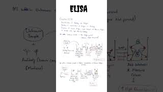 ELISA  ELISA Test  Enzyme linked immunosorbent assay  Types of ELISA  Direct and Indirect ELISA [upl. by Idden]