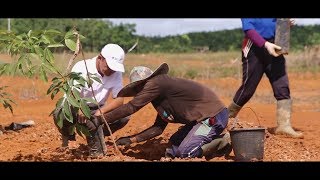 ONU Meio Ambiente apoia financiamento do uso sustentável da terra [upl. by Yun776]