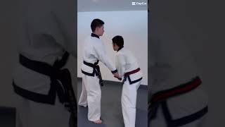 Premiere Korean Karate on Digital Dojang karate tangsoodo combatsport combat [upl. by Buyers]