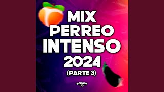 Mix Perreo Intenso 2024 Parte 3 Remix [upl. by Ruckman885]