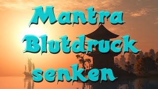 Mantra  Blutdruck senken  Sorgen loswerden  innerer Frieden Trippsitter [upl. by Oretos]