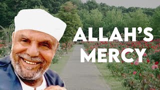 Allahs Mercy  Shaykh Metwally alSharawi [upl. by Anidan]