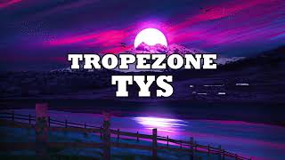 TYS  TROMPEZONE LETRAS [upl. by Dunn716]