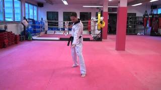 Keypoints Poomsae  Koryo [upl. by Ettenil]