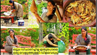 ദൈവമേ ഇതുപോലെ ഒരു വെളുത്തുള്ളി വിളവെടുപ്പു നിങ്ങൾ ആരും കണ്ടിട്ടുണ്ടാവില്ല ഞണ്ടു കറിയും OUTSIDE VLOG [upl. by Watts]