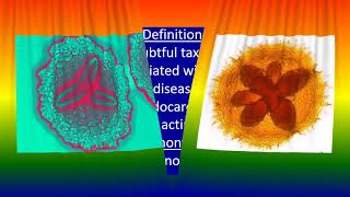 Actinobacillus actinomycetemcomitans [upl. by Elledoj]