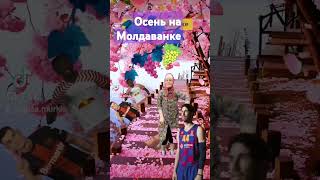 Осень на Молдаванке fun youtubeshorts creative wow dance good funny wow cool creative [upl. by Adnerak483]