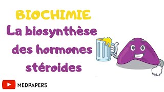 biochimie la biosynthèse des hormones stéroïdes [upl. by Soisanahta]