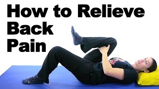 Back Pain Relief Exercises amp Stretches  Ask Doctor Jo [upl. by Maria]