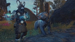 ESO  Magicka Warden Solo amp Duo PvP  Update 40 [upl. by Adleremse]