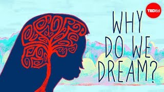 Why do we dream  Amy Adkins [upl. by Nosydam]